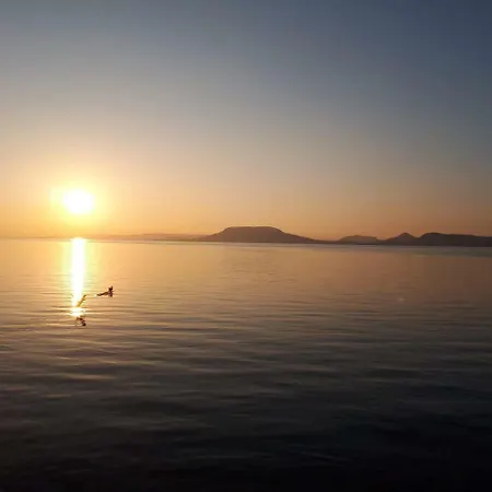 Balaton View *