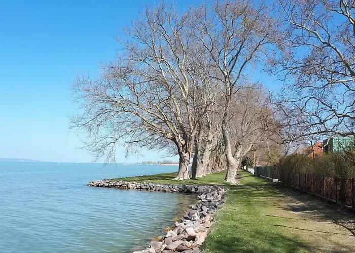 Balaton View 펜션 *